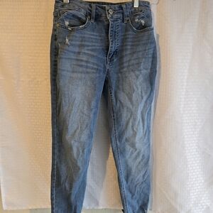 Sofia by Sofia Vergara Classic Blue Jeans